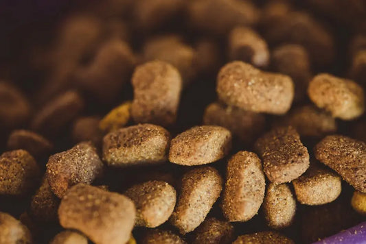 Boosting Your Dog's Gut Health Naturally